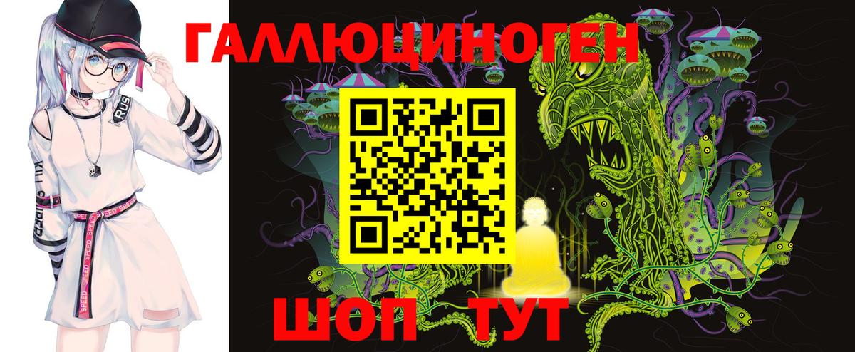 Артём  Псилоцибиновые грибы Psilocybe  Вход с VPN  Галлюциногенные грибы прущие грибы 