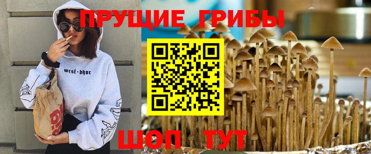 Псилоцибиновые грибы мухоморы Артём