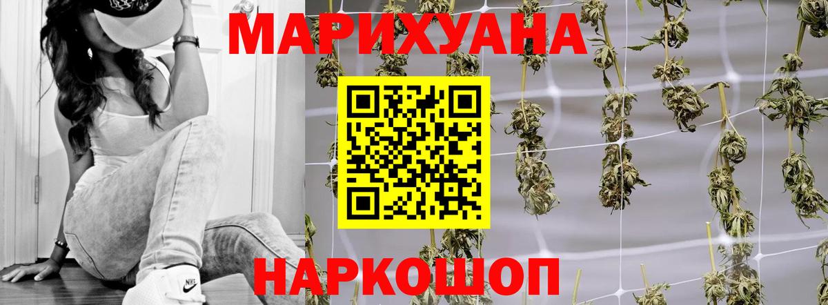 Канабис семена Артём